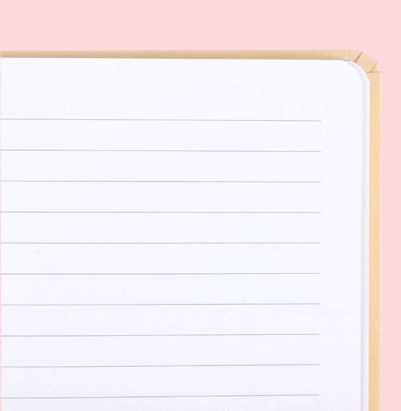 White paper with ruled lines on a pink background